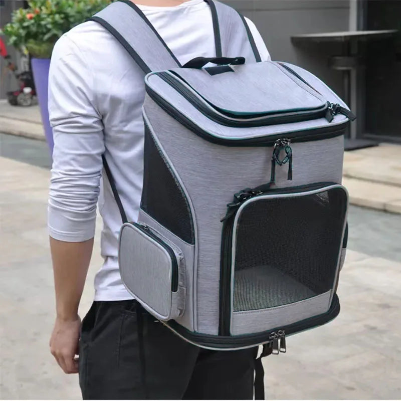 🐾 CatComfyPack