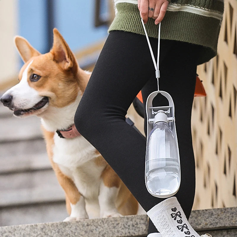 Hydrated Walks β The Portable Bottle for Your Best Friend! πΎπ§