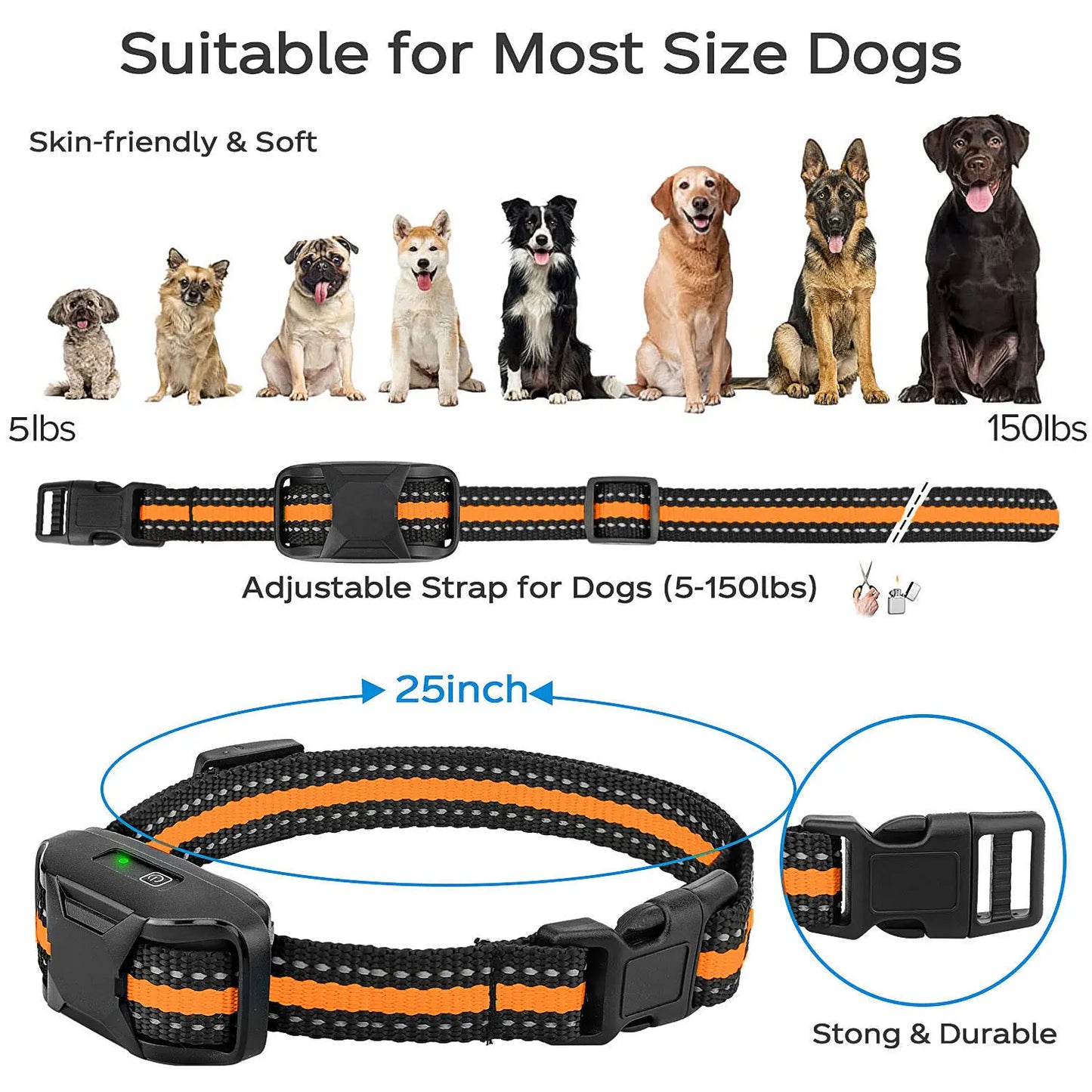🐶PetCoach Elite