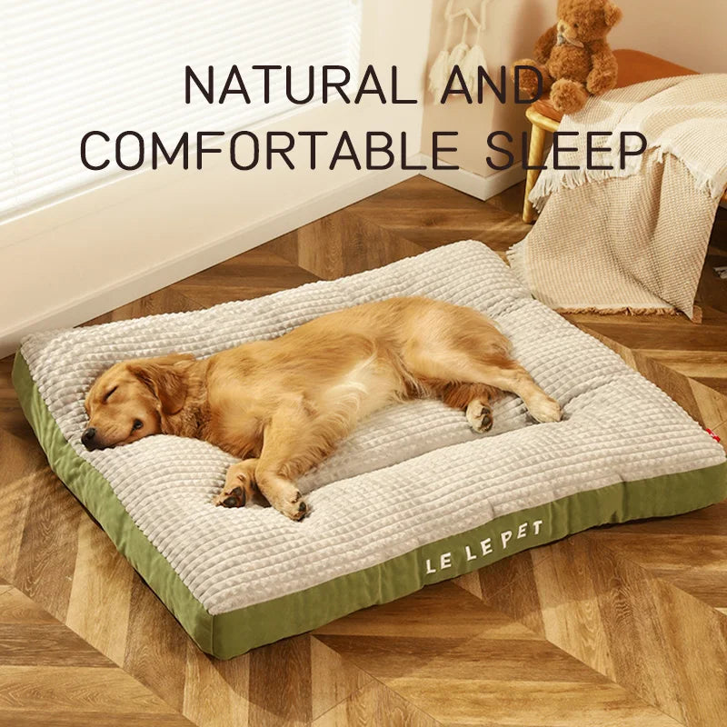 π PetCloud β The Ultimate Comfort Nest for Your Pet! πΆπ±
