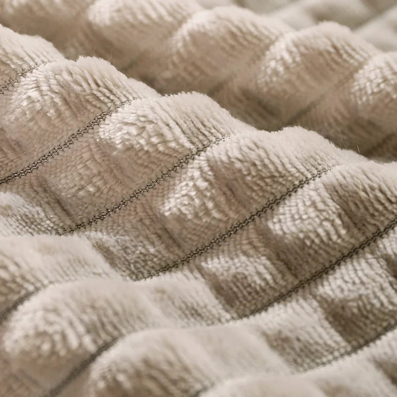 π PetCloud β The Ultimate Comfort Nest for Your Pet! πΆπ±