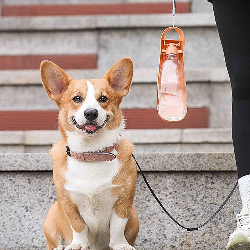 Hydrated Walks β The Portable Bottle for Your Best Friend! πΎπ§