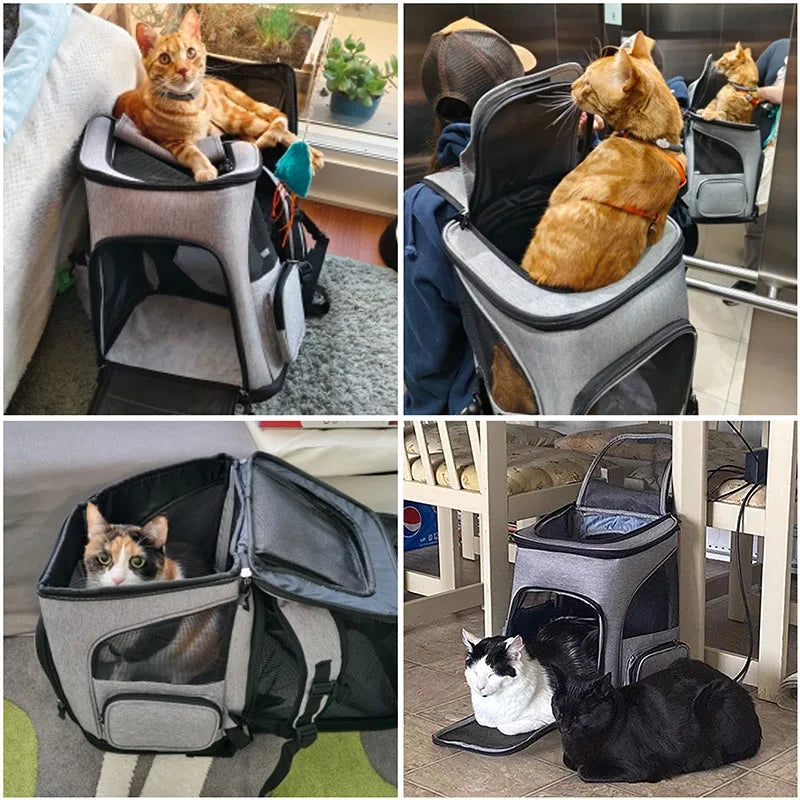 🐾 CatComfyPack