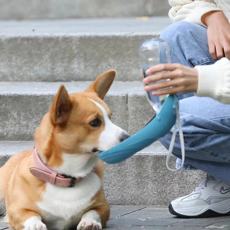 Hydrated Walks β The Portable Bottle for Your Best Friend! πΎπ§