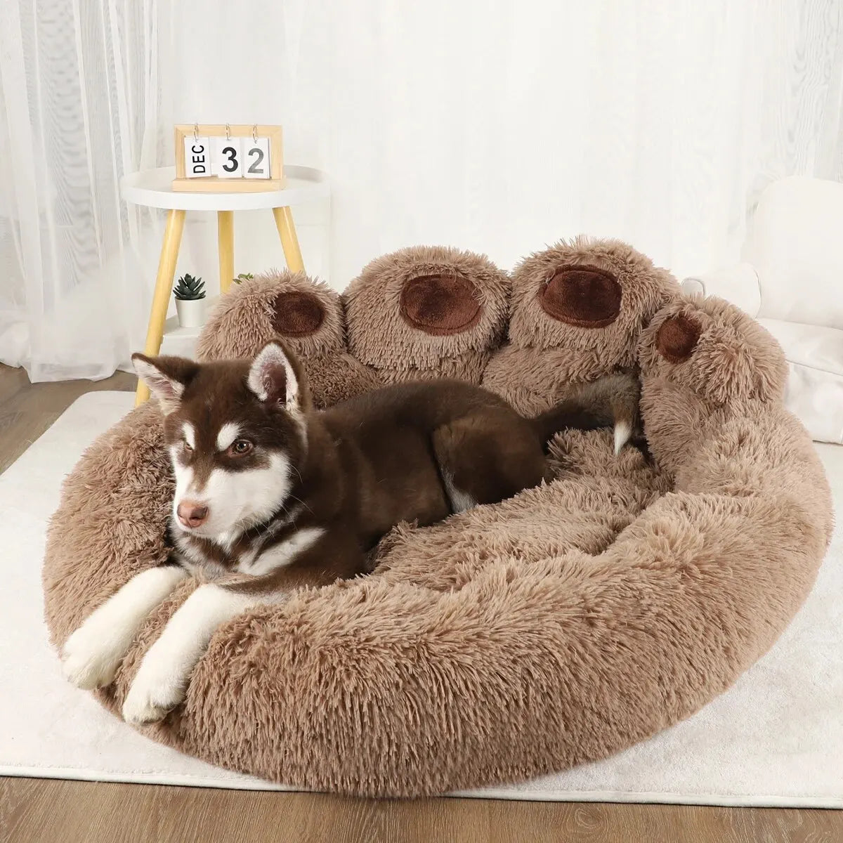 Magical Paws Pet Bed