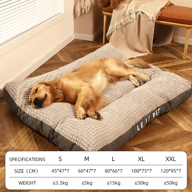 π PetCloud β The Ultimate Comfort Nest for Your Pet! πΆπ±