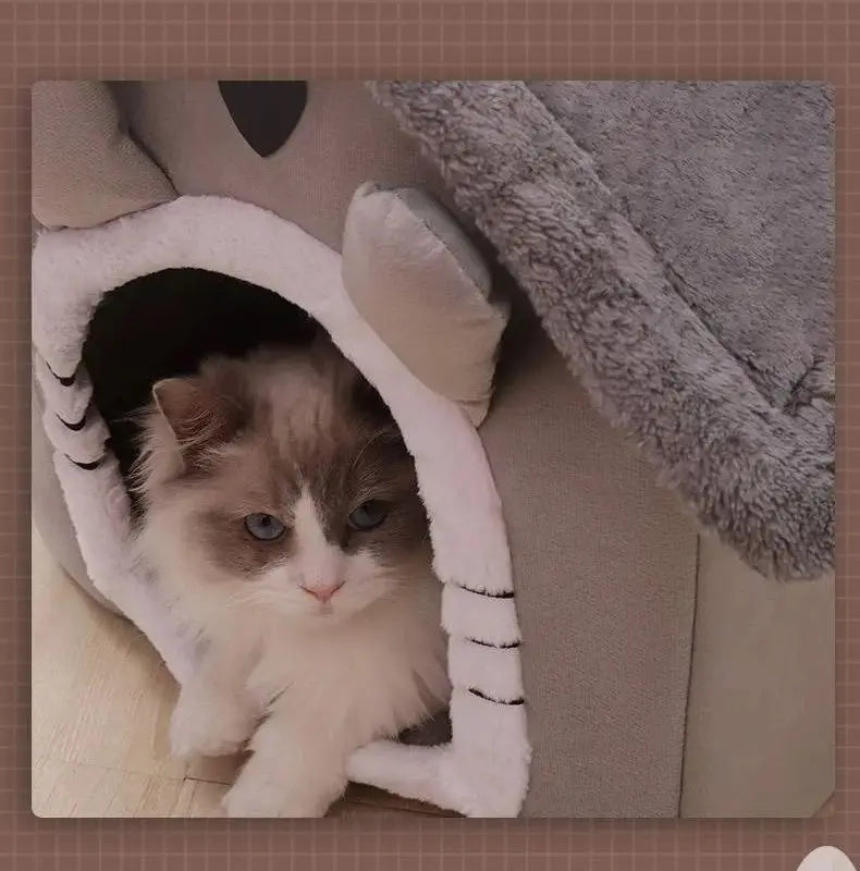 🐾 All Seasons Snug Nest