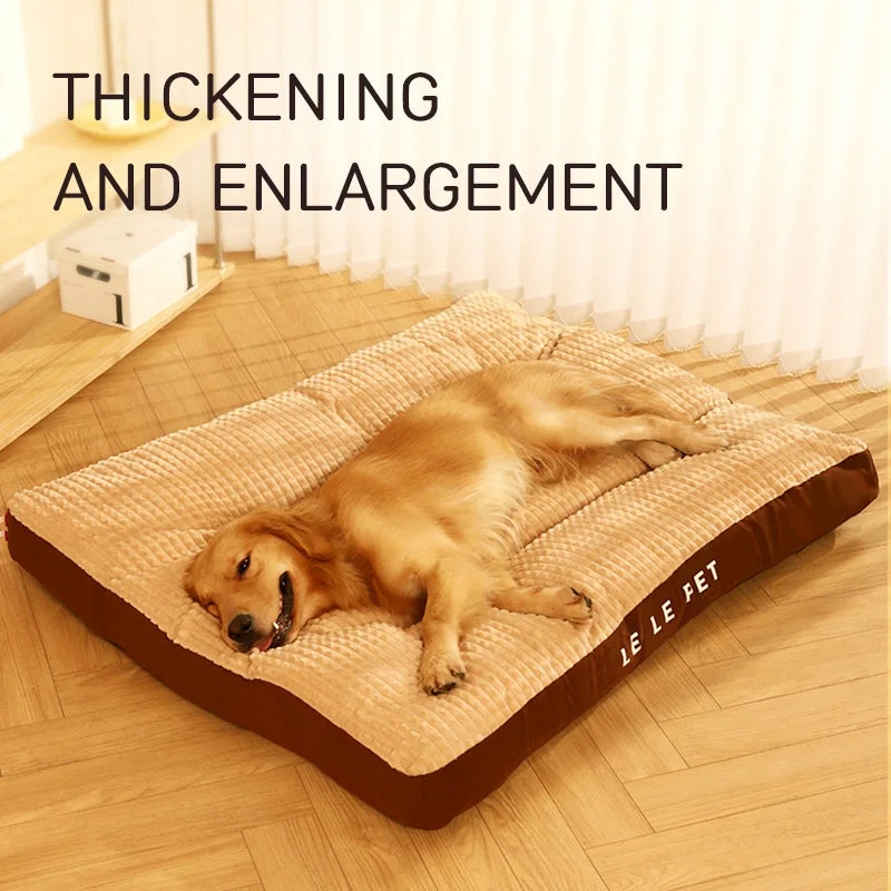 π PetCloud β The Ultimate Comfort Nest for Your Pet! πΆπ±