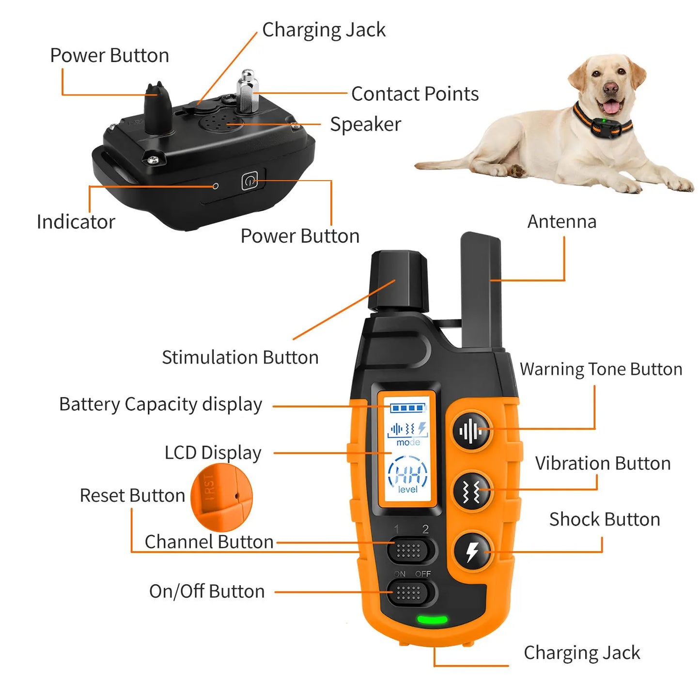 🐶PetCoach Elite