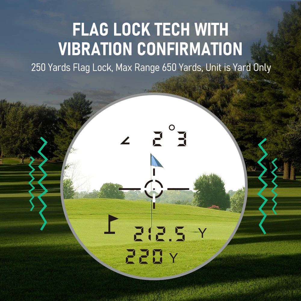 VisionVibe Pro