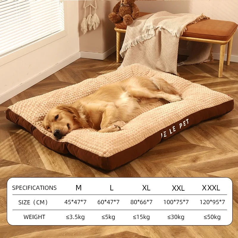 π PetCloud β The Ultimate Comfort Nest for Your Pet! πΆπ±