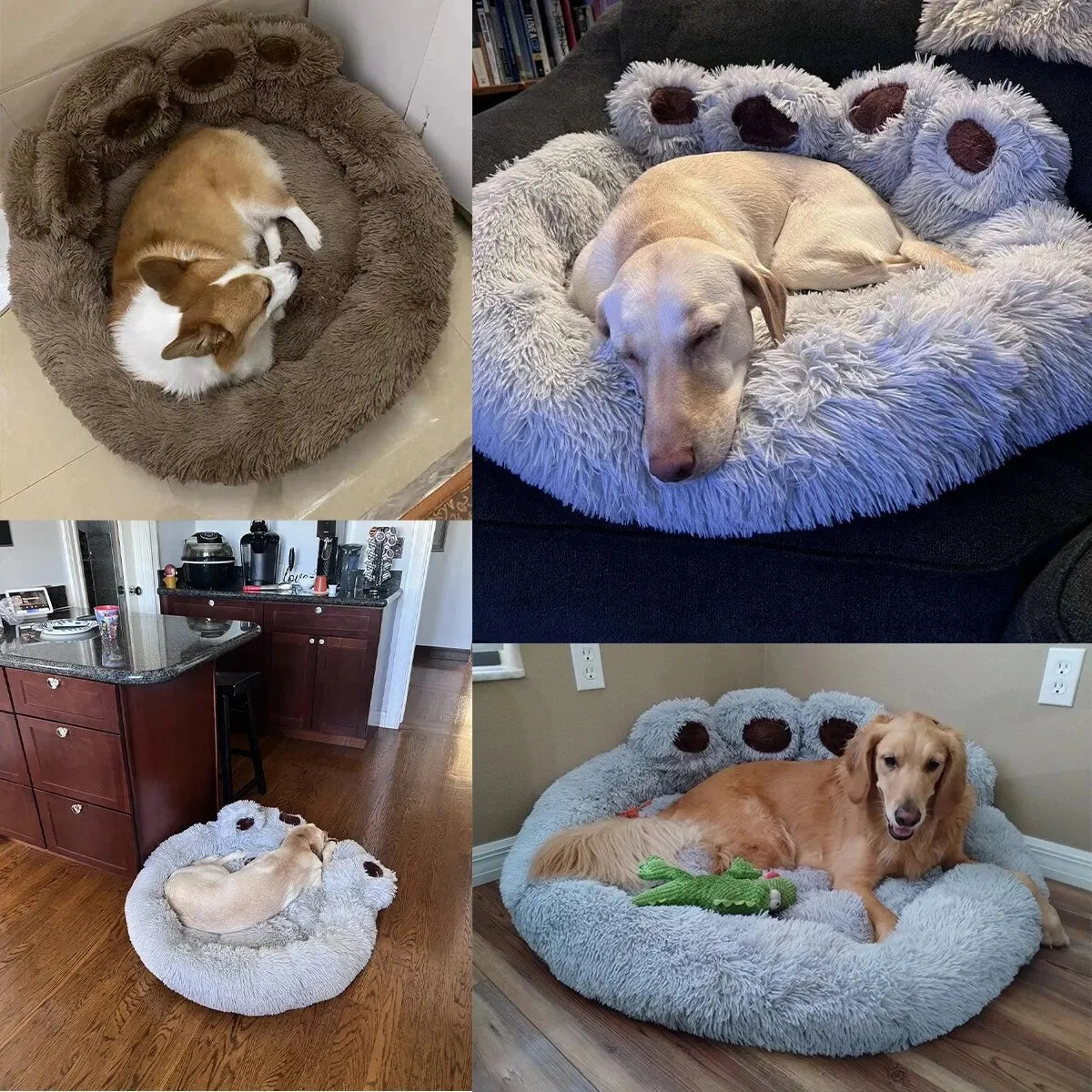 Magical Paws Pet Bed