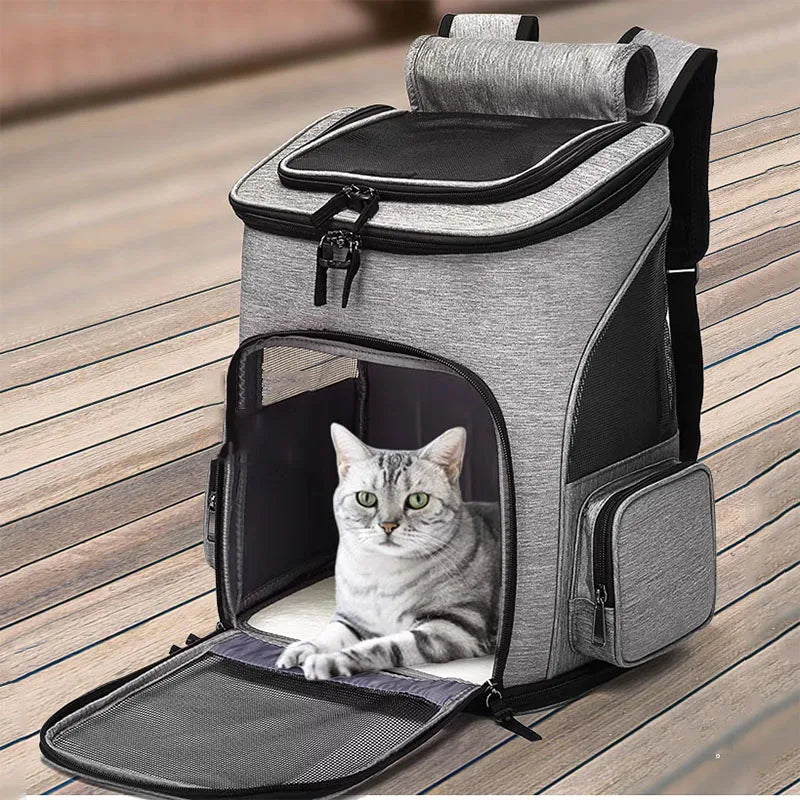 🐾 CatComfyPack
