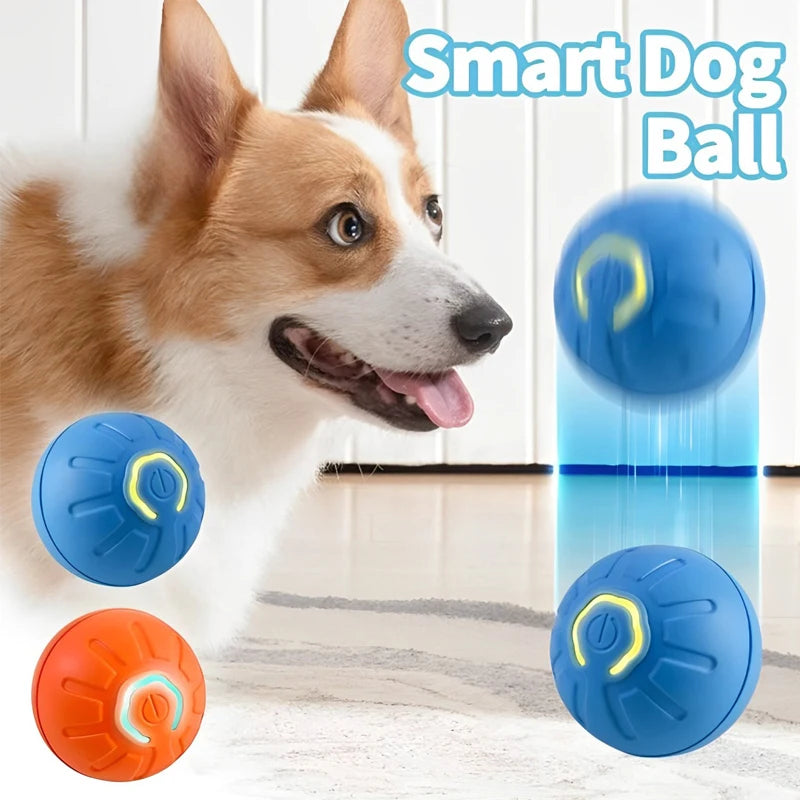 🐾 PetPlay Orb – The Smart Interactive Ball for Your Pet’s Ultimate Fun! 🎾