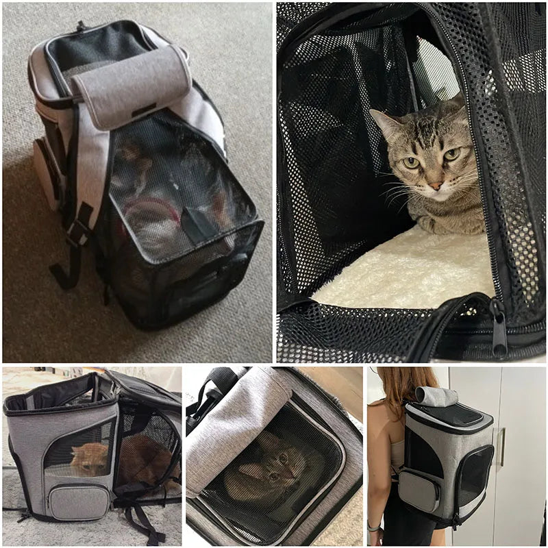 🐾 CatComfyPack