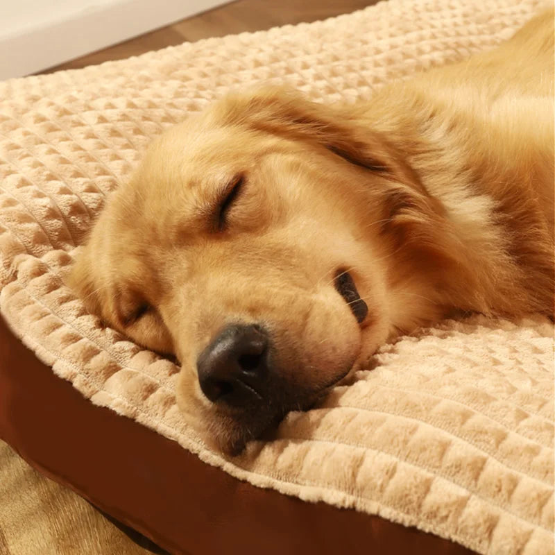 π PetCloud β The Ultimate Comfort Nest for Your Pet! πΆπ±