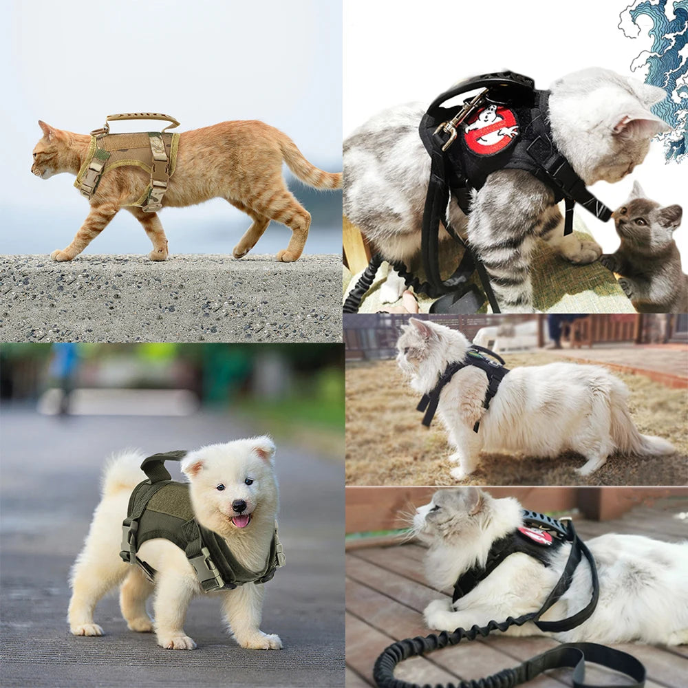 Kitten Commando Vest