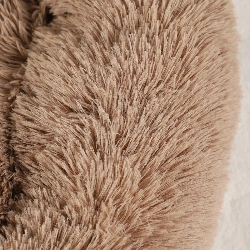 Magical Paws Pet Bed