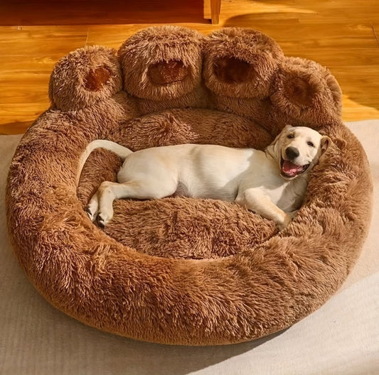 Magical Paws Pet Bed