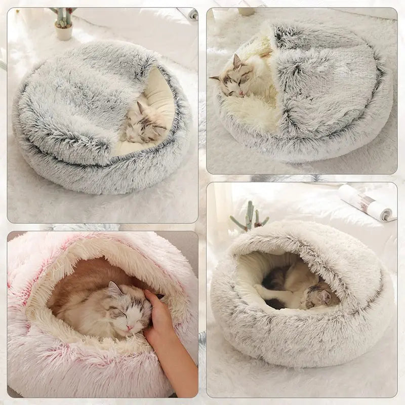 🌙 CloudPet– The Dreamy Haven for Your Pet! 🐾