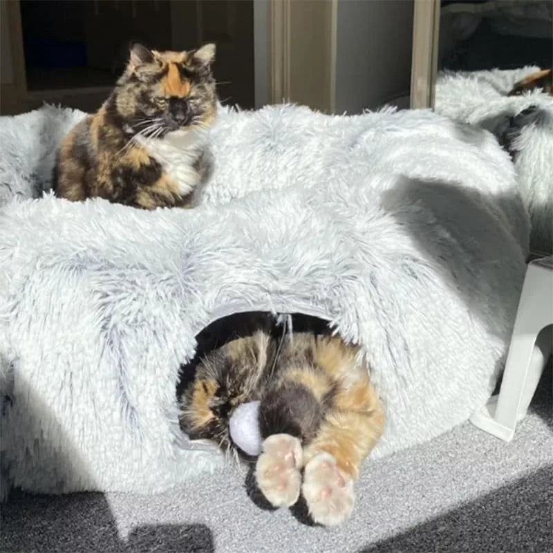 Dream Den – 2-in-1 Cat Bed and Tunnel