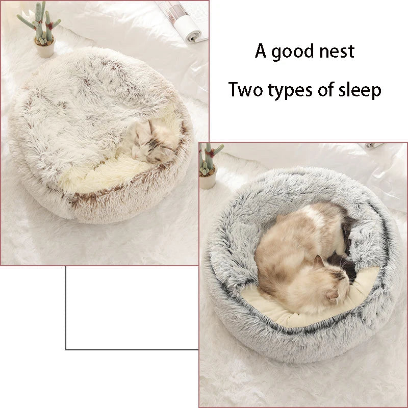 🌙 CloudPet– The Dreamy Haven for Your Pet! 🐾