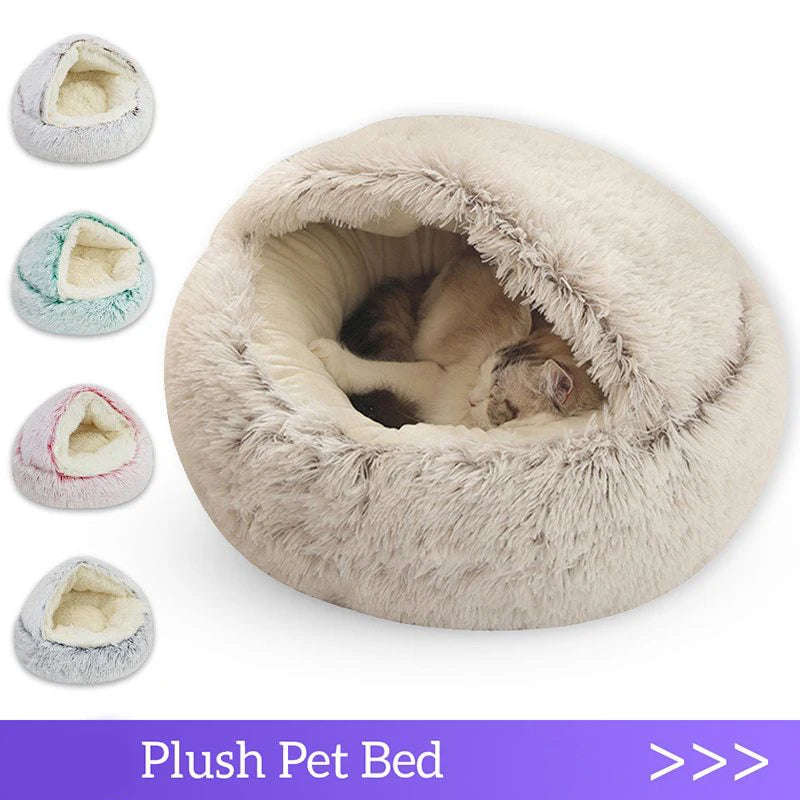 🌙 CloudPet– The Dreamy Haven for Your Pet! 🐾