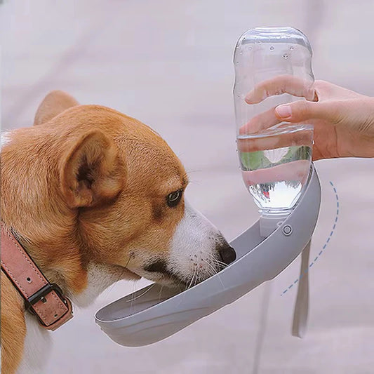 Hydrated Walks – The Portable Bottle for Your Best Friend! 🐾💧