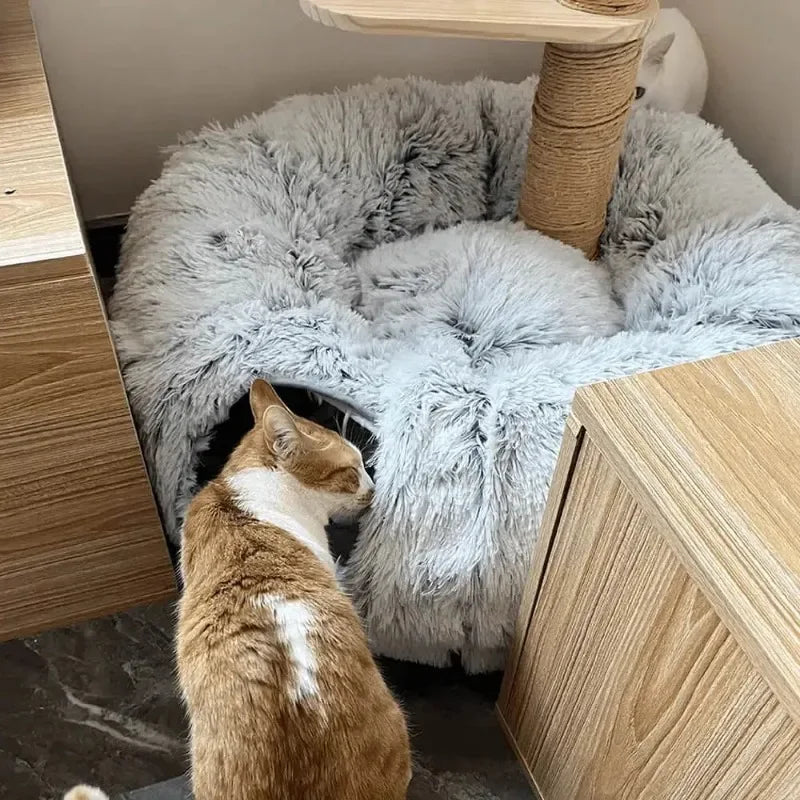 Dream Den – 2-in-1 Cat Bed and Tunnel