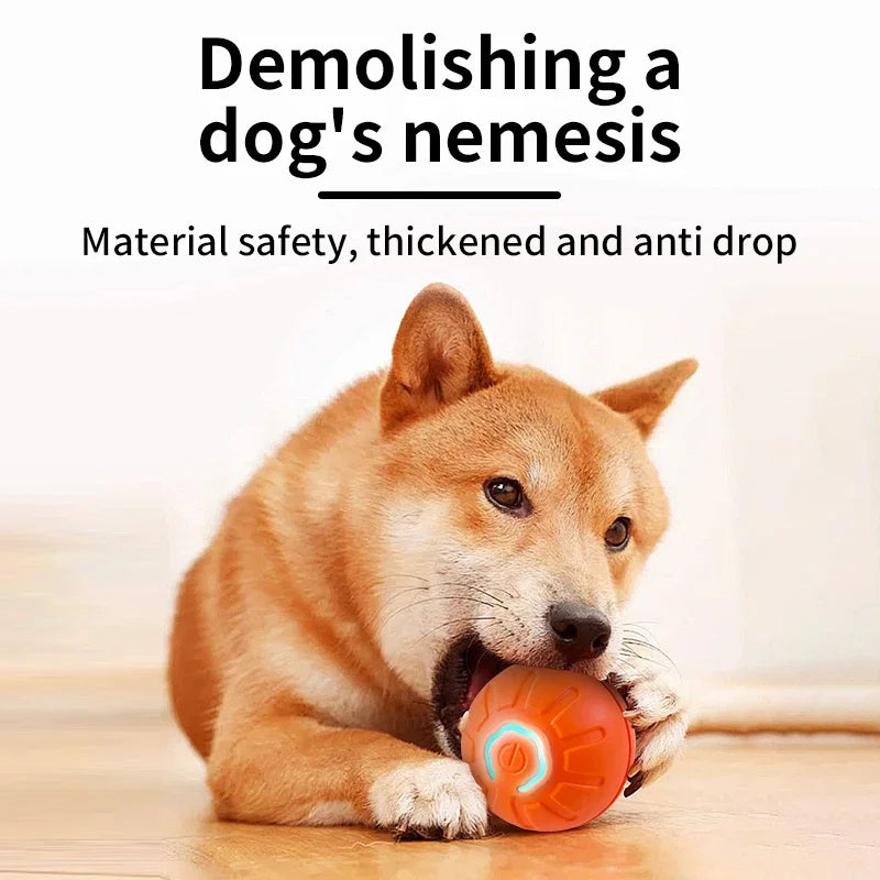 🐾 PetPlay Orb – The Smart Interactive Ball for Your Pet’s Ultimate Fun! 🎾