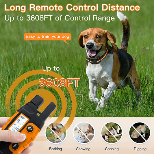 🐶PetCoach Elite