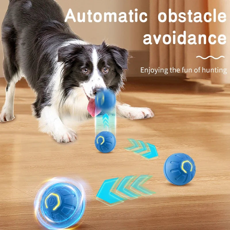 🐾 PetPlay Orb – The Smart Interactive Ball for Your Pet’s Ultimate Fun! 🎾