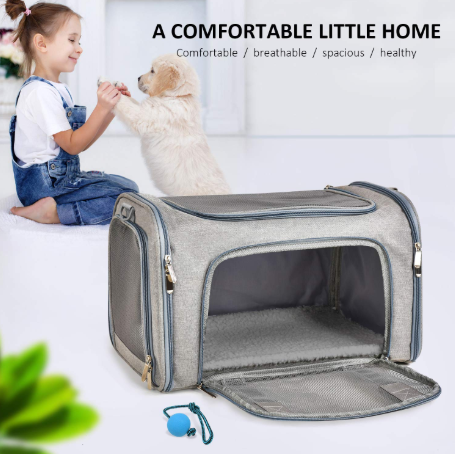 🛫 PetGo Comfort