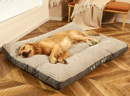 🌟 PetCloud – The Ultimate Comfort Nest for Your Pet! 🐶🐱