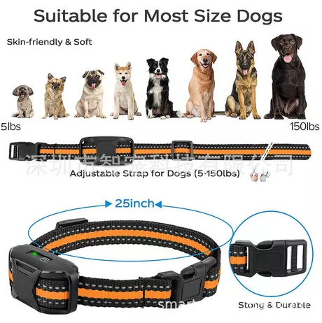 🐶PetCoach Elite
