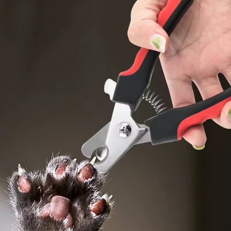 ✨ Peticure Pro 🐾✂️