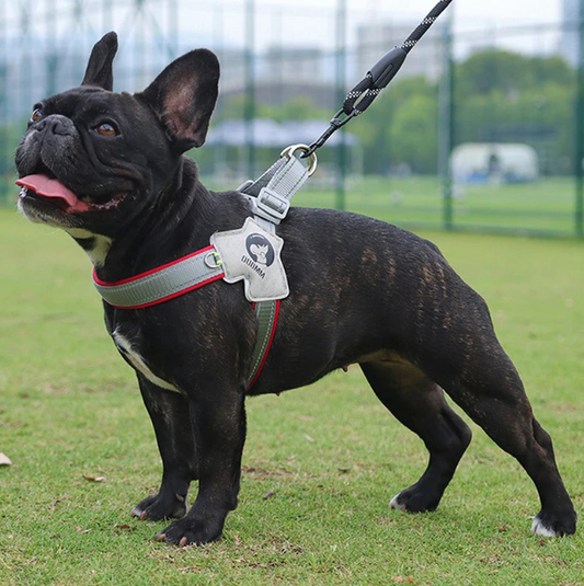 PetControl